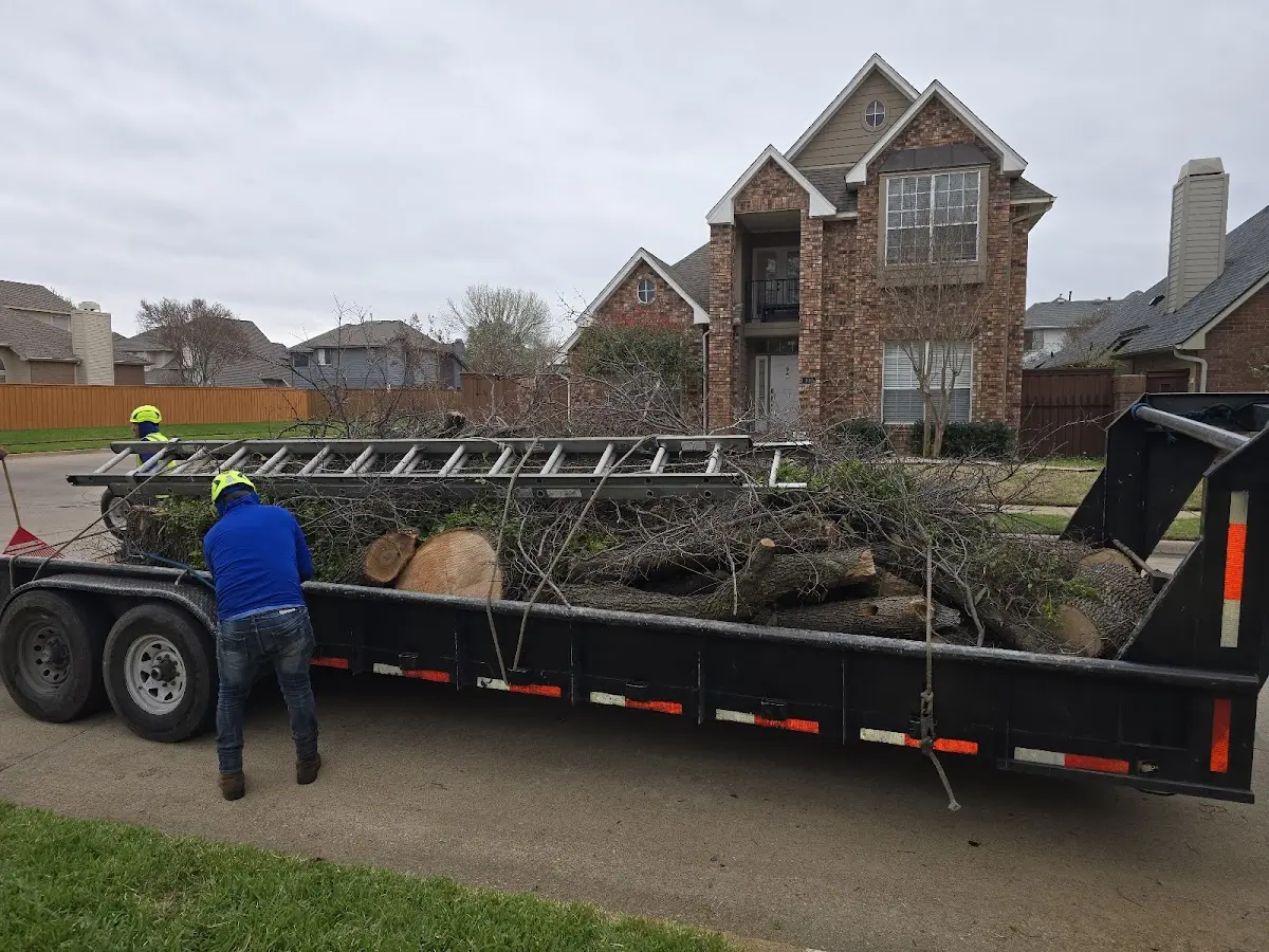 Expert Lot Clearing with proper safety equipment in Burbank